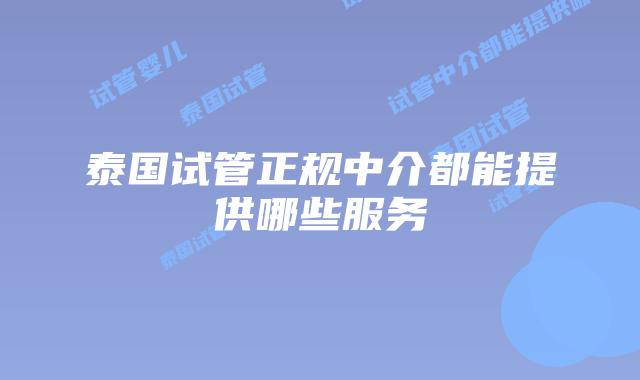 泰国试管正规中介都能提供哪些服务