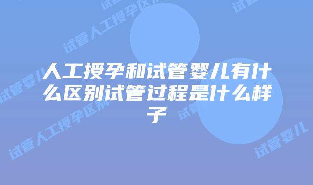 人工授孕和试管婴儿有什么区别试管过程是什么样子