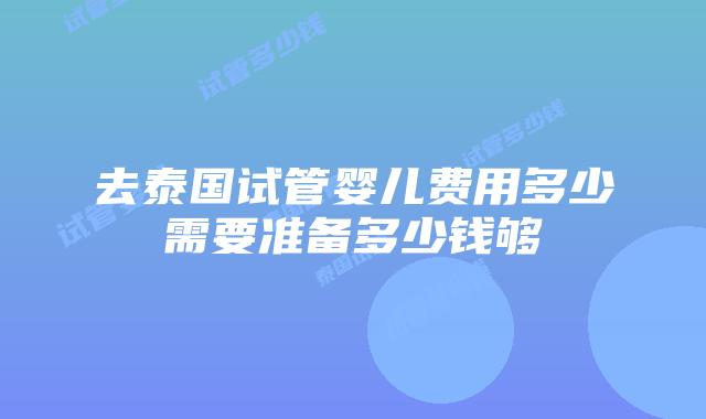 去泰国试管婴儿费用多少需要准备多少钱够