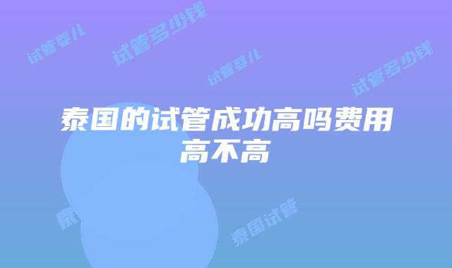 泰国的试管成功高吗费用高不高
