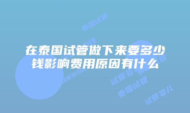 在泰国试管做下来要多少钱影响费用原因有什么