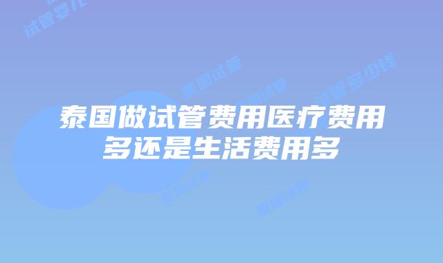 泰国做试管费用医疗费用多还是生活费用多