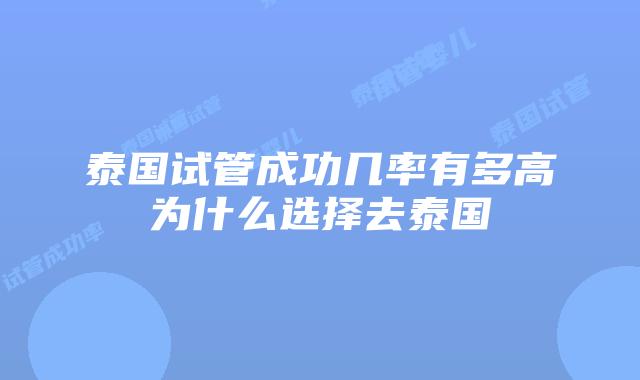 泰国试管成功几率有多高为什么选择去泰国