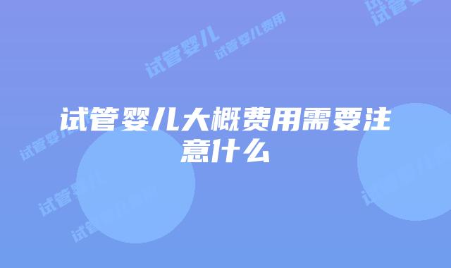 试管婴儿大概费用需要注意什么