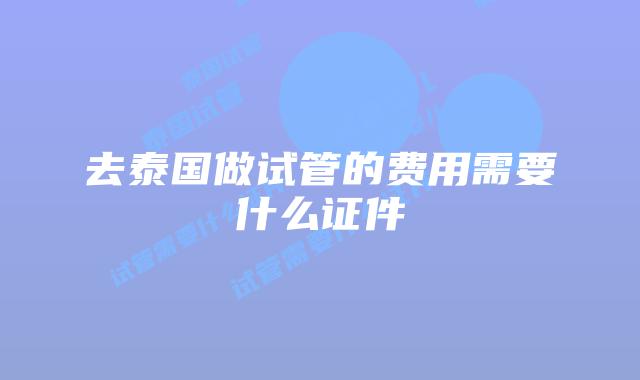 去泰国做试管的费用需要什么证件