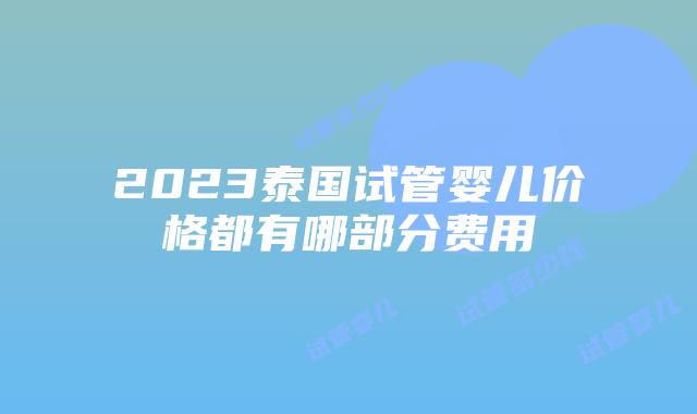 2023泰国试管婴儿价格都有哪部分费用