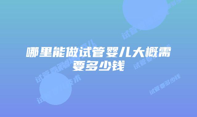 哪里能做试管婴儿大概需要多少钱