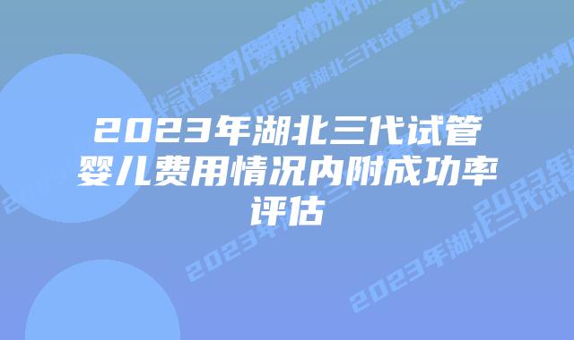 2023年湖北三代试管婴儿费用情况内附成功率评估