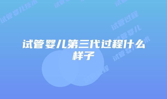 试管婴儿第三代过程什么样子
