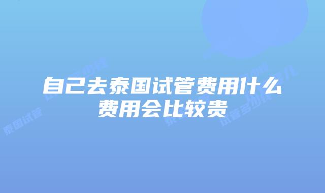 自己去泰国试管费用什么费用会比较贵