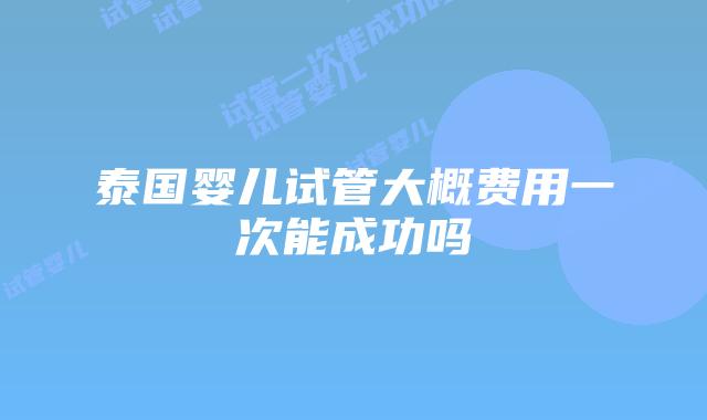 泰国婴儿试管大概费用一次能成功吗