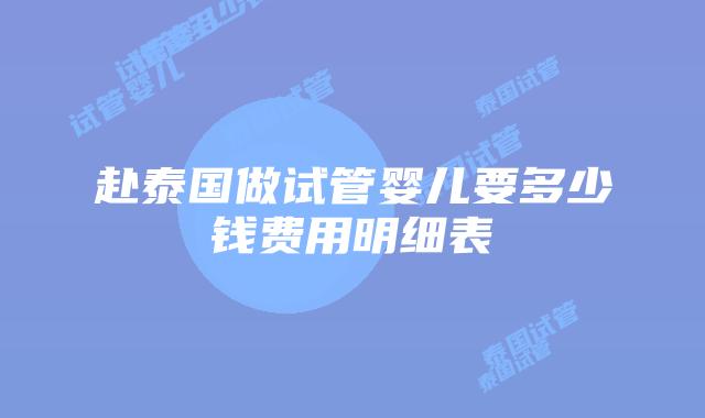 赴泰国做试管婴儿要多少钱费用明细表