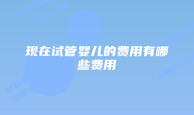 现在试管婴儿的费用有哪些费用