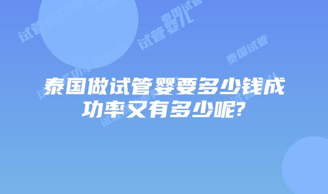 泰国做试管婴要多少钱成功率又有多少呢?