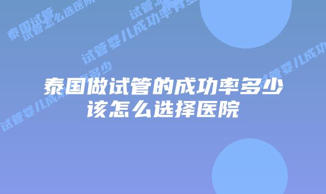 泰国做试管的成功率多少该怎么选择医院