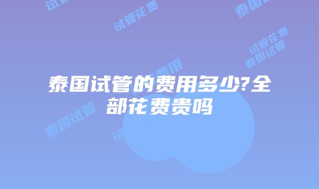 泰国试管的费用多少?全部花费贵吗