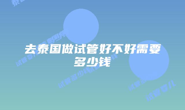 去泰国做试管好不好需要多少钱