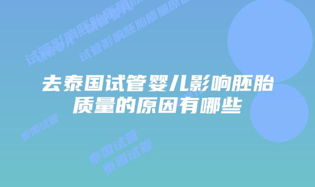 去泰国试管婴儿影响胚胎质量的原因有哪些