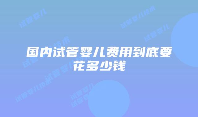 国内试管婴儿费用到底要花多少钱