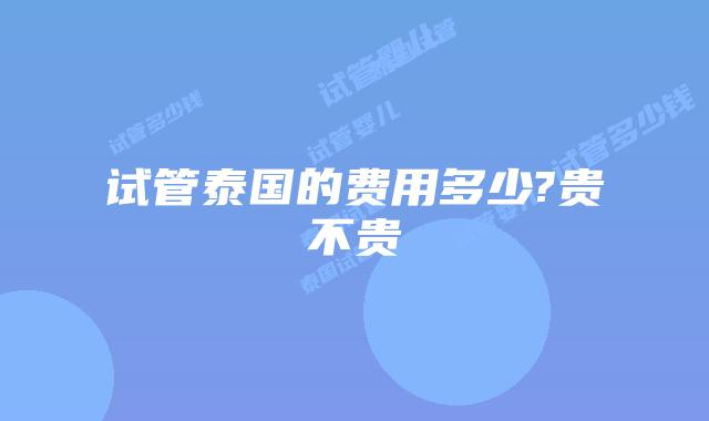 试管泰国的费用多少?贵不贵