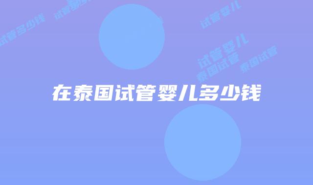 在泰国试管婴儿多少钱