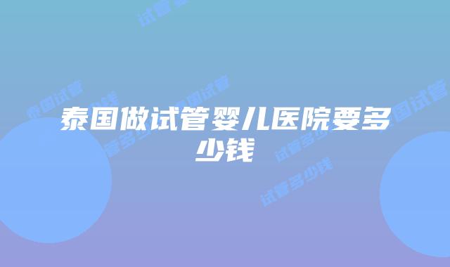 泰国做试管婴儿医院要多少钱