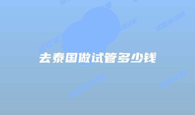 去泰国做试管多少钱