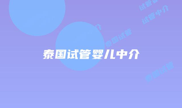 泰国试管婴儿中介