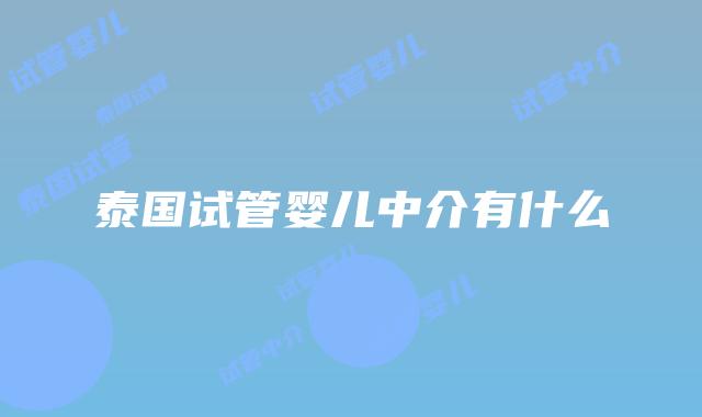 泰国试管婴儿中介有什么