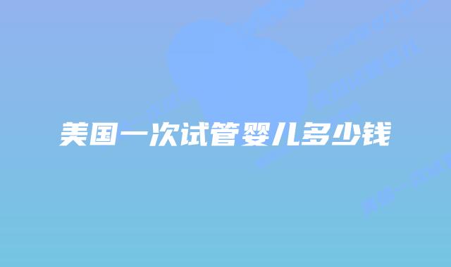 美国一次试管婴儿多少钱