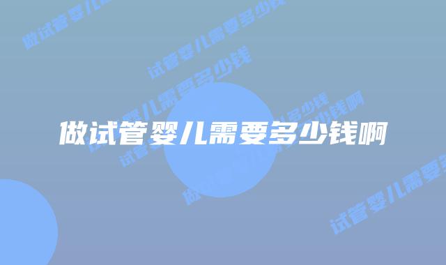 做试管婴儿需要多少钱啊