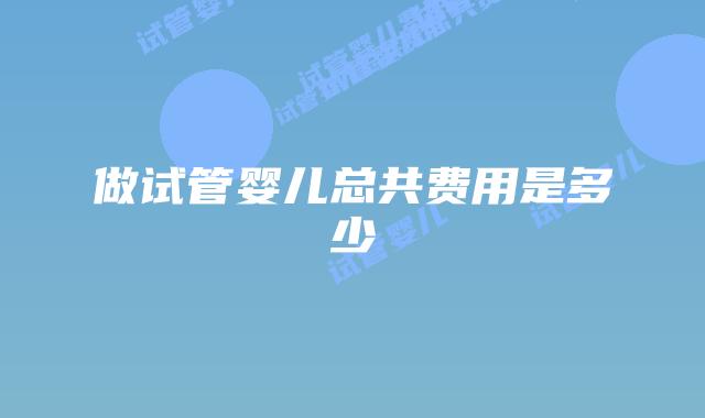 做试管婴儿总共费用是多少