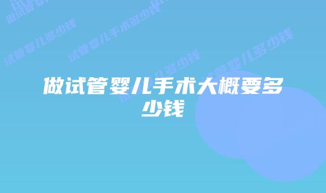 做试管婴儿手术大概要多少钱