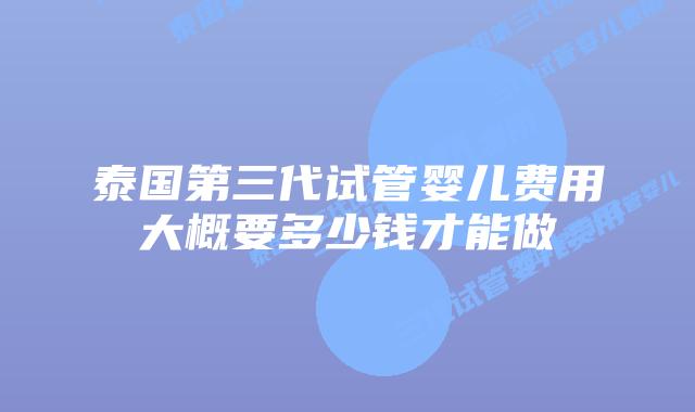 泰国第三代试管婴儿费用大概要多少钱才能做