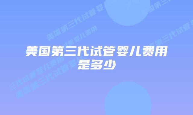 美国第三代试管婴儿费用是多少