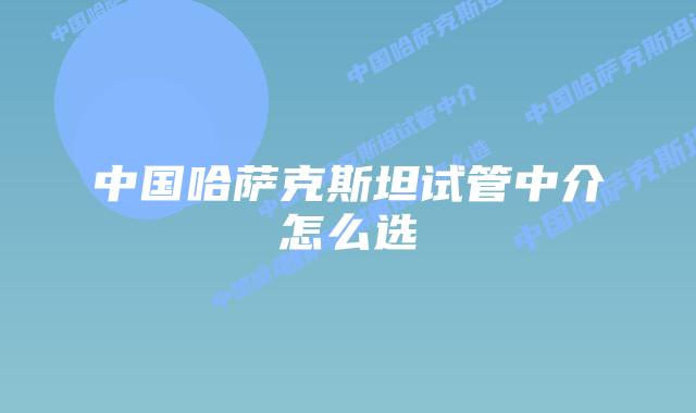 中国哈萨克斯坦试管中介怎么选