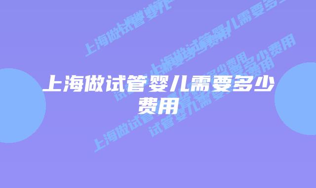 上海做试管婴儿需要多少费用