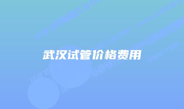 武汉试管价格费用