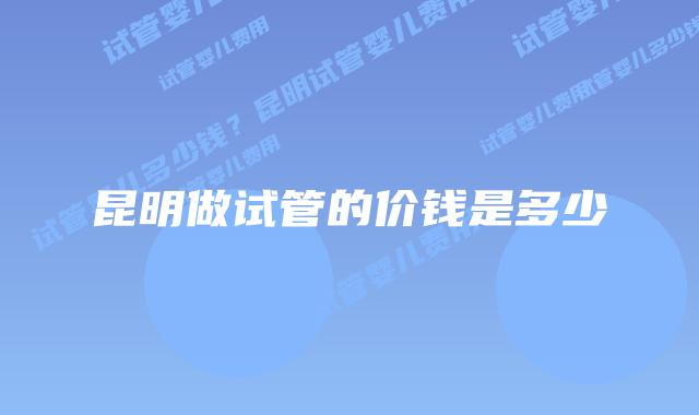 昆明做试管的价钱是多少