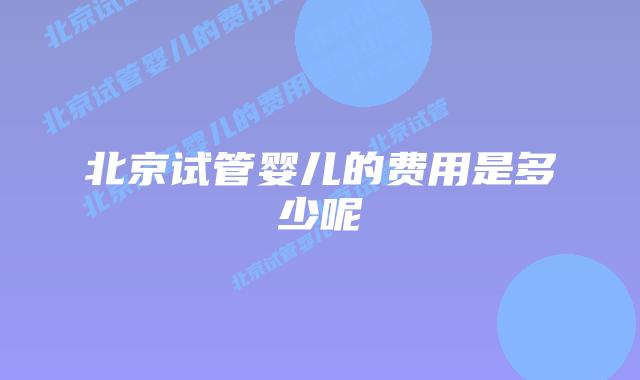 北京试管婴儿的费用是多少呢