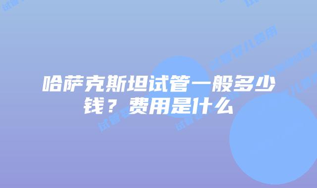 哈萨克斯坦试管一般多少钱?费用是什么
