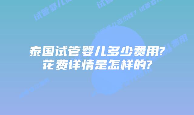 泰国试管婴儿多少费用?花费详情是怎样的?