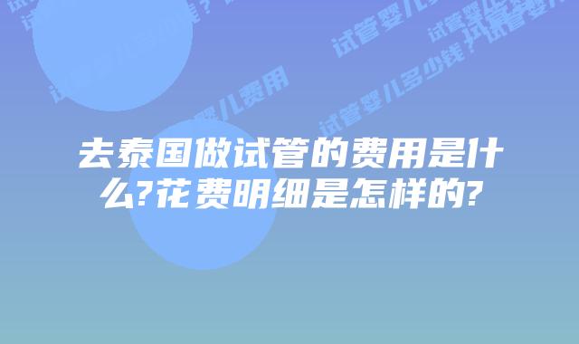去泰国做试管的费用是什么?花费明细是怎样的?
