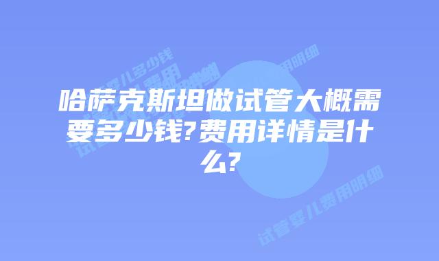 哈萨克斯坦做试管大概需要多少钱?费用详情是什么?