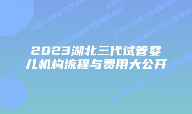 2023湖北三代试管婴儿机构流程与费用大公开