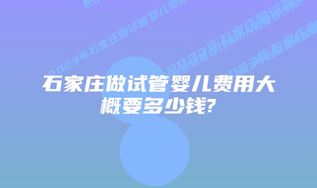 石家庄做试管婴儿费用大概要多少钱?