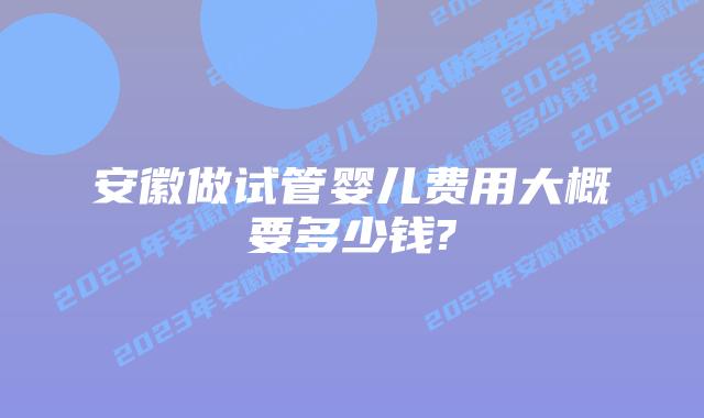 安徽做试管婴儿费用大概要多少钱?