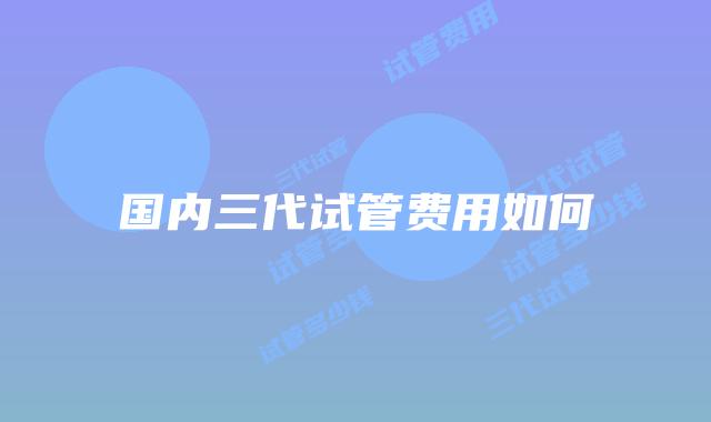 国内三代试管费用如何