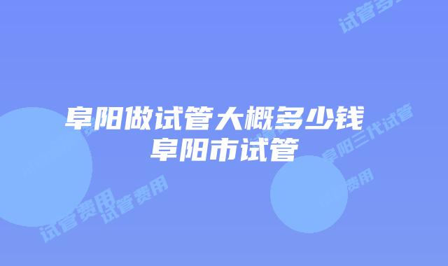 阜阳做试管大概多少钱 阜阳市试管
