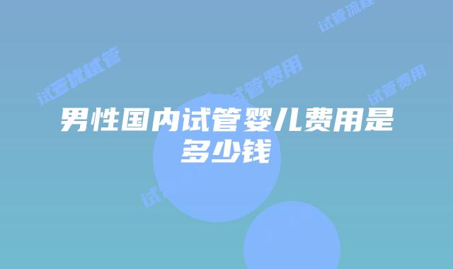 男性国内试管婴儿费用是多少钱